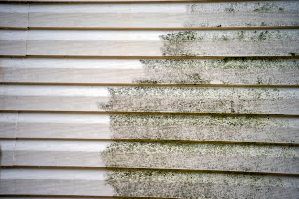 Moving and Downsizing Cleanouts in Monon, IN