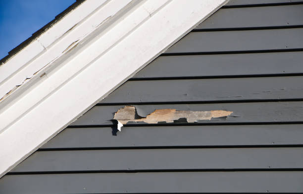 Best Construction Debris Removal  in Monon, IN